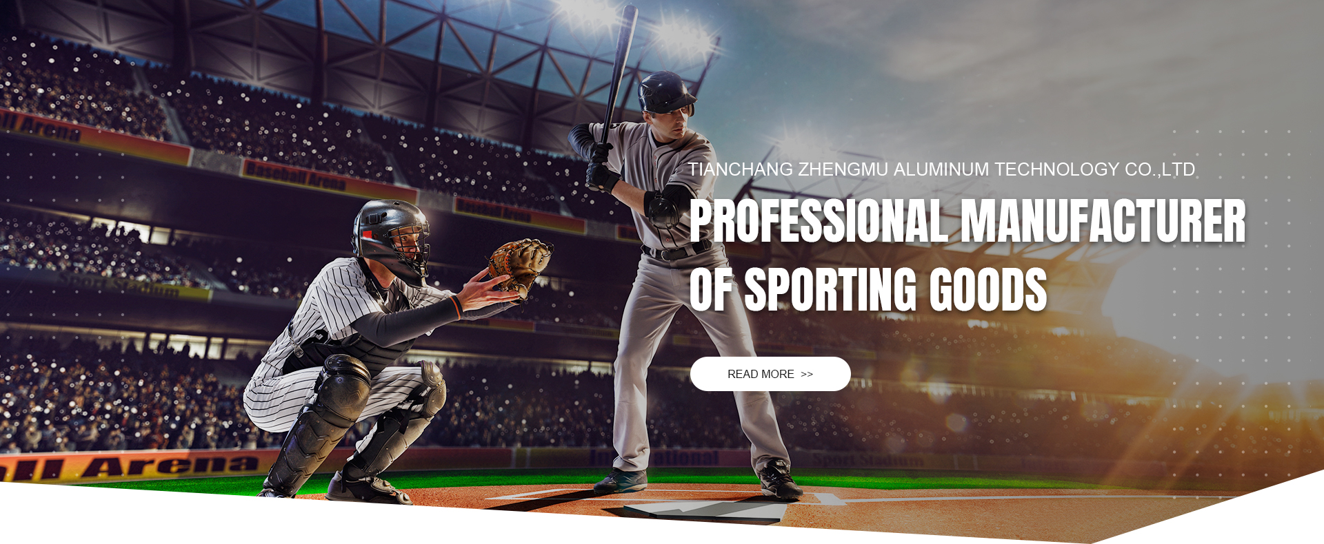 professional manufacturer of sporting goods